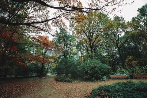 Autumn Park 4K Wallpaper · autumn · 3840×2560