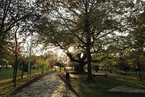 Autumn Park 4K Wallpaper · autumn · 3840×2560