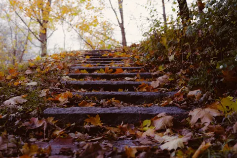 Autumn Park 4K Wallpaper · autumn · 3840×2560