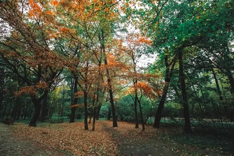 Autumn Park 4K Wallpaper · autumn · 3840×2560