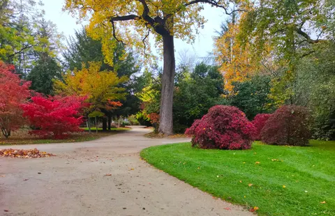 Autumn Park 4K Wallpaper · autumn · 3840×2481