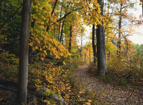 Autumn Park 4K Wallpaper · autumn · 3840×2824