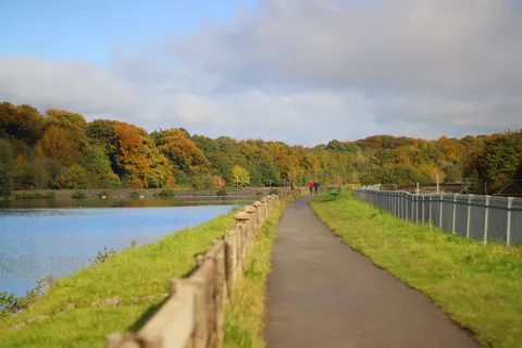 Autumn Park 4K Wallpaper · autumn · 3840×2560