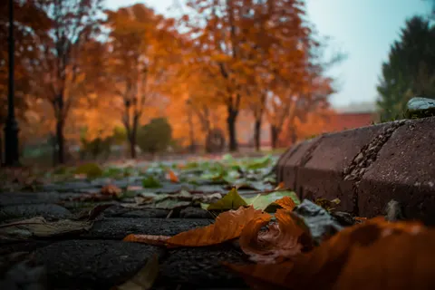 Autumn Park 4K Wallpaper · autumn · 3840×2560