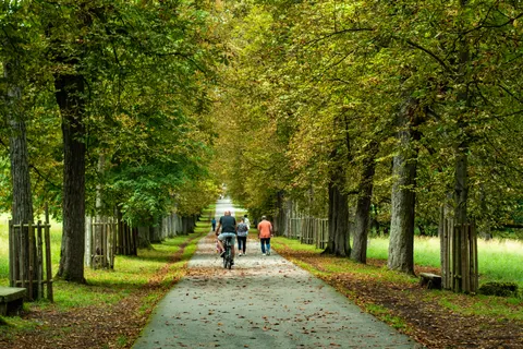 Autumn Park 4K Wallpaper · autumn · 3840×2560