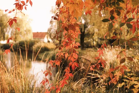 Autumn Lake 4K Wallpaper · autumn · 3840×2560