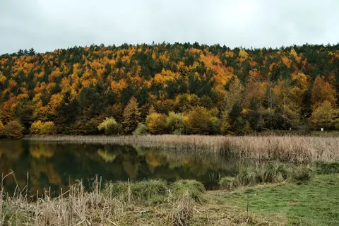 Autumn Lake 4K Wallpaper · autumn · 3840×2560