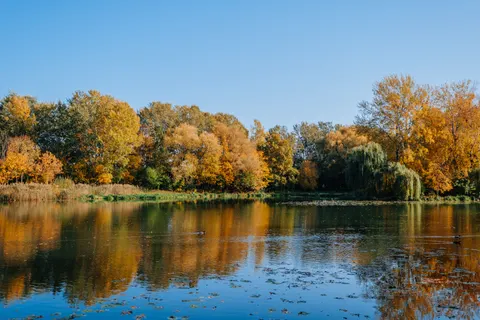 Autumn Lake 4K Wallpaper · autumn · 3840×2560