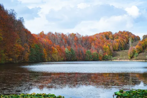 Autumn Lake 4K Wallpaper · autumn · 3840×2560