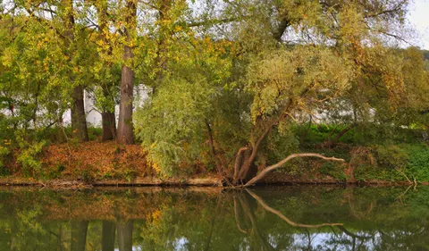 Autumn Lake 4K Wallpaper · autumn · 3840×2250