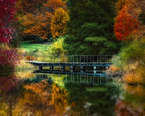 والپیپر دریاچه پاییزی با کیفیت 4K · autumn · 3840×3072