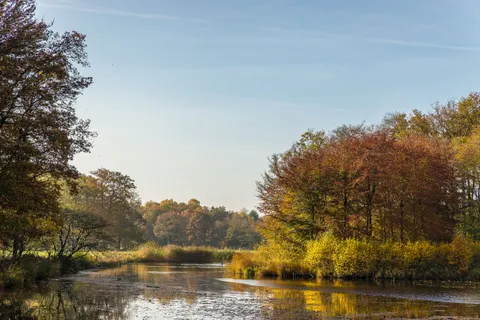 Autumn Lake 4K Wallpaper · autumn · 3840×2560