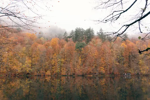 Autumn Lake 4K Wallpaper · autumn · 3840×2560
