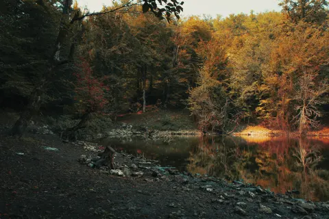 Autumn Lake 4K Wallpaper · autumn · 3840×2560