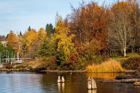 Autumn Lake 4K Wallpaper · autumn · 3840×2560