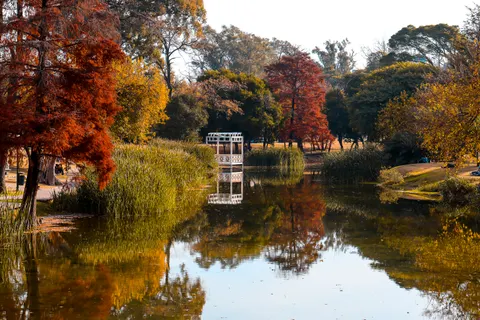 Autumn Lake 4K Wallpaper · autumn · 3840×2560