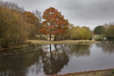 Autumn Lake 4K Wallpaper · autumn · 3840×2561