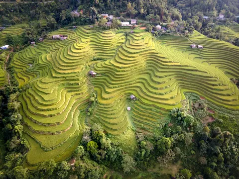 Rice Terraces 4K Wallpaper · nature · 3840×2880