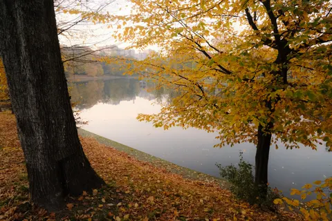 Fond d'écran Lac d'automne 4K · autumn · 3840×2560