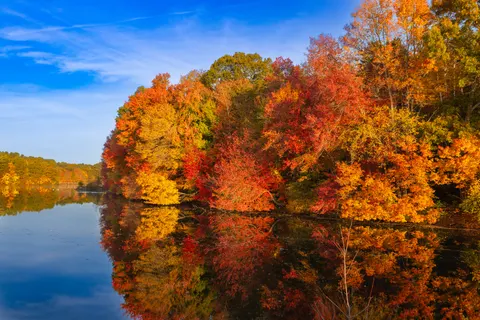 Autumn Lake 4K Wallpaper · autumn · 3840×2561