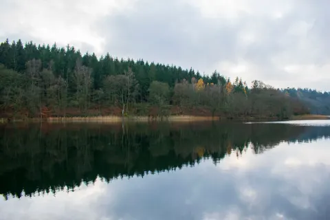 Autumn Lake 4K Wallpaper · autumn · 3840×2560