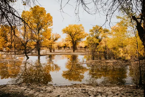 Autumn Lake 4K Wallpaper · autumn · 3840×2561
