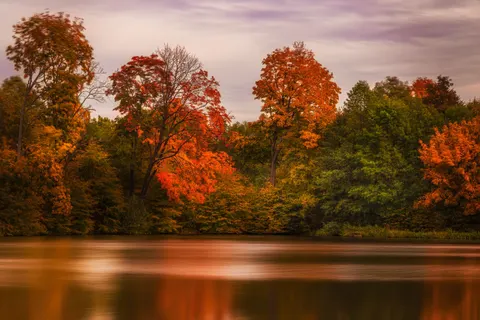 Autumn Lake 4K Wallpaper · autumn · 3840×2560