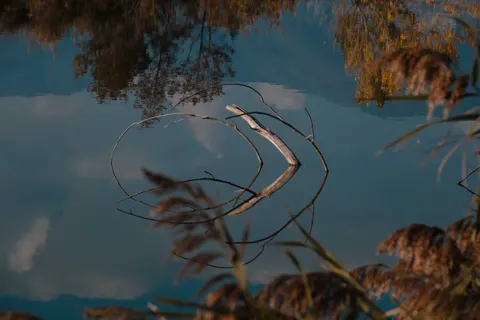 Autumn Lake 4K Wallpaper · autumn · 3840×2560