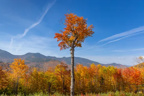 Autumn Mountains 4K Wallpaper · autumn · 3840×2561