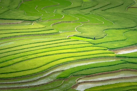 계단식 논 4K 배경화면 · nature · 3840×2560