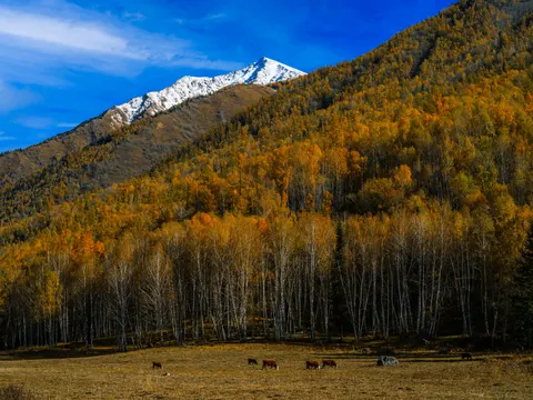 Autumn Mountains 4K Wallpaper · autumn · 3840×2880