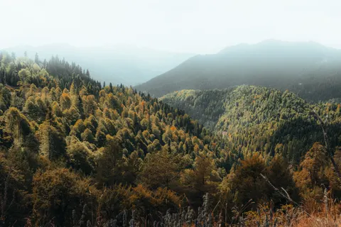 Autumn Mountains 4K Wallpaper · autumn · 3840×2560