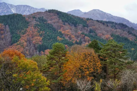 Autumn Mountains 4K Wallpaper · autumn · 3840×2560