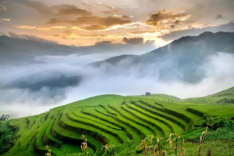 Reisterrassen 4K Hintergrundbild · nature · 3840×2561