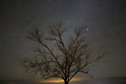 Starlit Silhouette 4K Wallpaper · space · 3840×2560