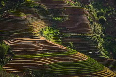 Fond d'écran Rizières en terrasses 4K · nature · 3840×2555