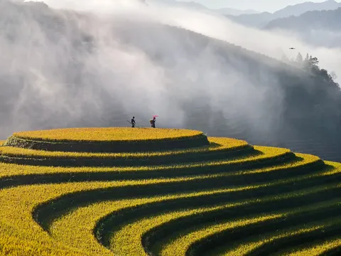 계단식 논 4K 배경화면 · nature · 3840×2880