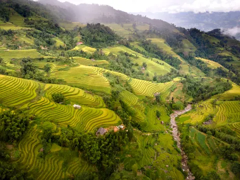 Rice Terraces 4K Wallpaper · nature · 3840×2880