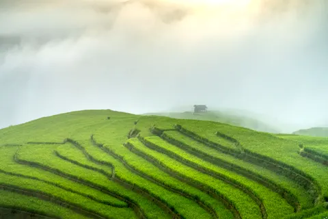 梯田 4K壁纸 · nature · 3840×2561