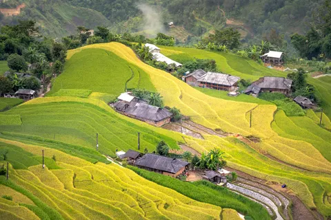 Rice Terraces 4K Wallpaper · nature · 3840×2560