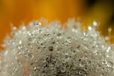 Oil Bubbles 4K Wallpaper · abstract · 3840×2561