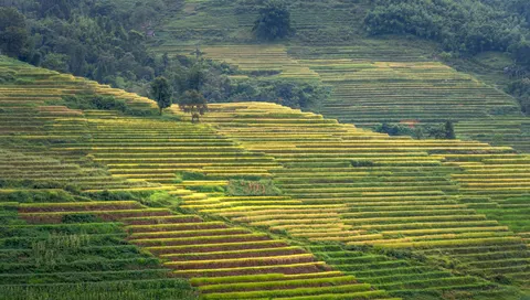 Rice Terraces 4K Wallpaper · nature · 3840×2177