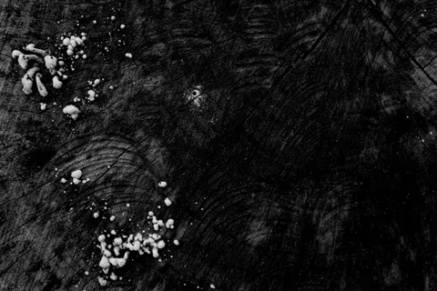나뭇결 4K 배경화면 · minimal · 3840×2560
