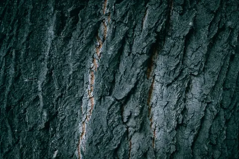 Houtnerf 4K-achtergrond · minimal · 3840×2560
