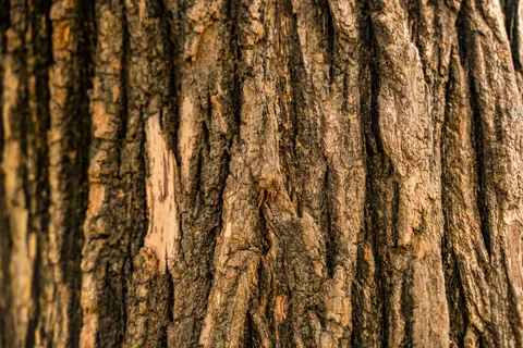 Wood Grain 4K Wallpaper · minimal · 3840×2560