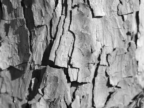 Wood Grain 4K Wallpaper · minimal · 3840×2880