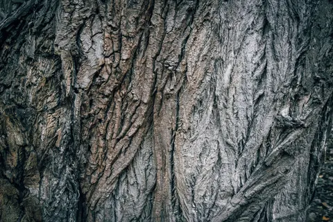 Wood Grain 4K Wallpaper · minimal · 3840×2560