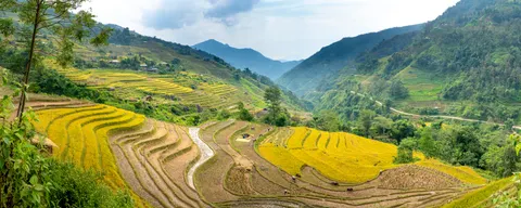 Rice Terraces 4K Wallpaper · nature · 3840×1541