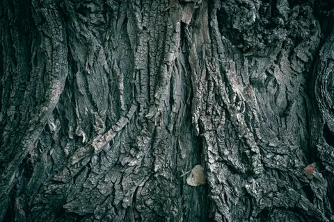 Hình nền Vân gỗ 4K · minimal · 3840×2560