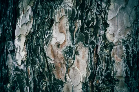 Wood Grain 4K Wallpaper · minimal · 3840×2560